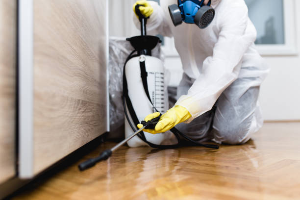 Best Rat Extermination Near Me  in Warner Robins, GA