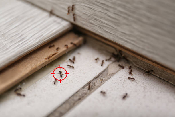 Best Best Pest Control Companies  in Warner Robins, GA