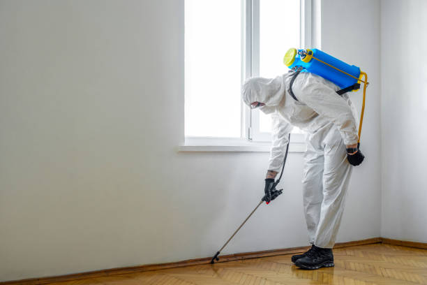 Best Exterminator Services  in Warner Robins, GA