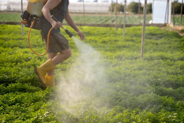 Trusted Warner Robins, GA Pest Control Experts