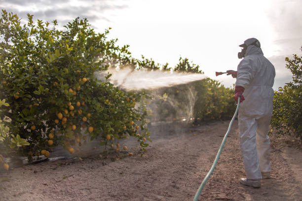 Best Bed Bug Extermination  in Warner Robins, GA