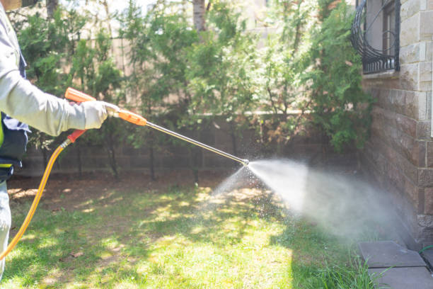 Best Flea Control Services  in Warner Robins, GA