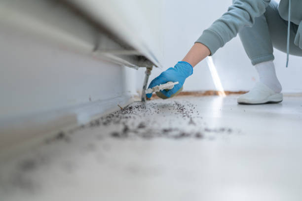 Trusted Warner Robins, GA Pest Control Experts