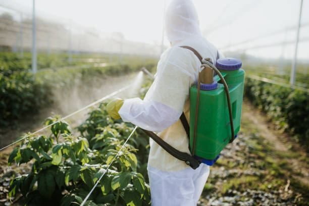 Best Bed Bug Extermination  in Warner Robins, GA
